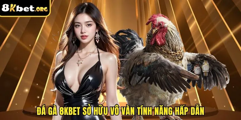 Đá gà 8kbet sở hữu vô vàn tính năng hấp dẫn