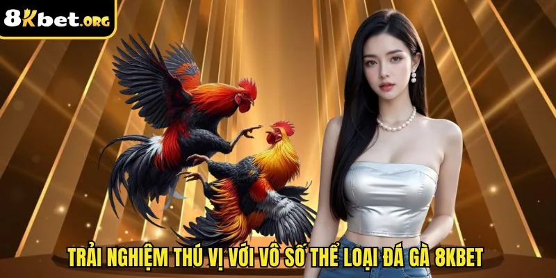 Trải nghiệm thú vị với vô số thể loại đá gà 8kbet 